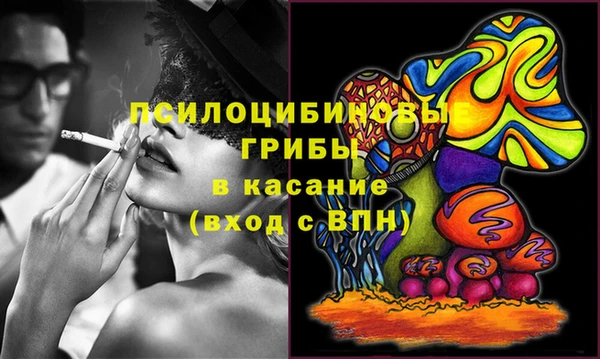 молекула духа Белоозёрский