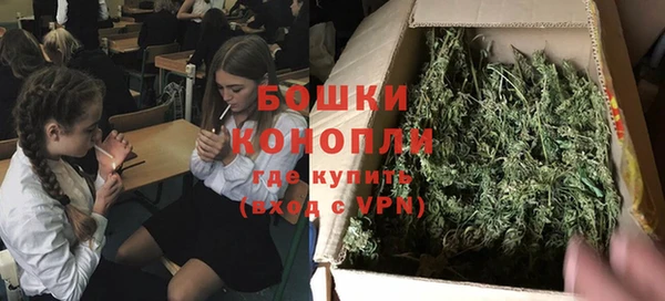мяу мяу мука Белокуриха
