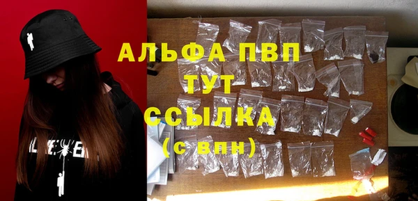мяу мяу мука Белокуриха