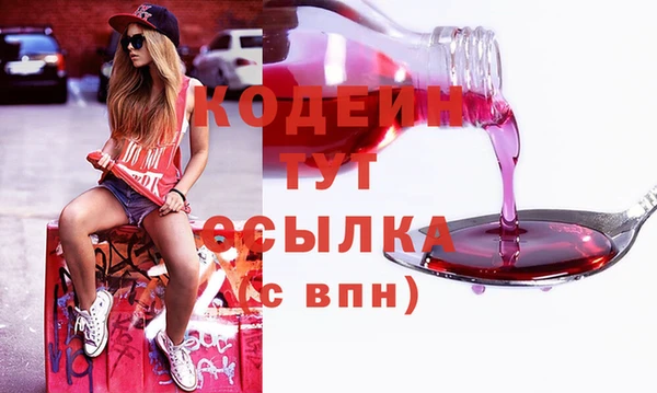 молекула духа Белоозёрский