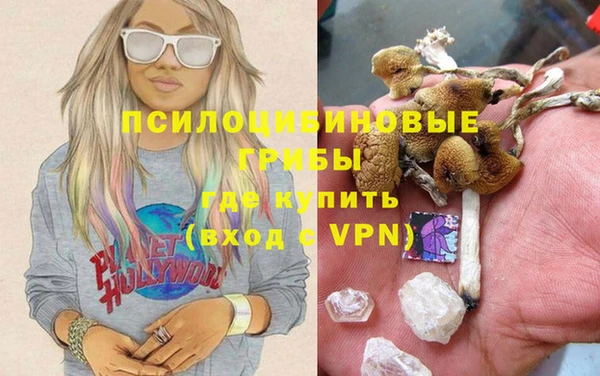 мяу мяу мука Белокуриха