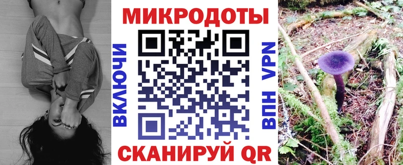 Галлюциногенные грибы Cubensis  Купить где  Ладушкин 
